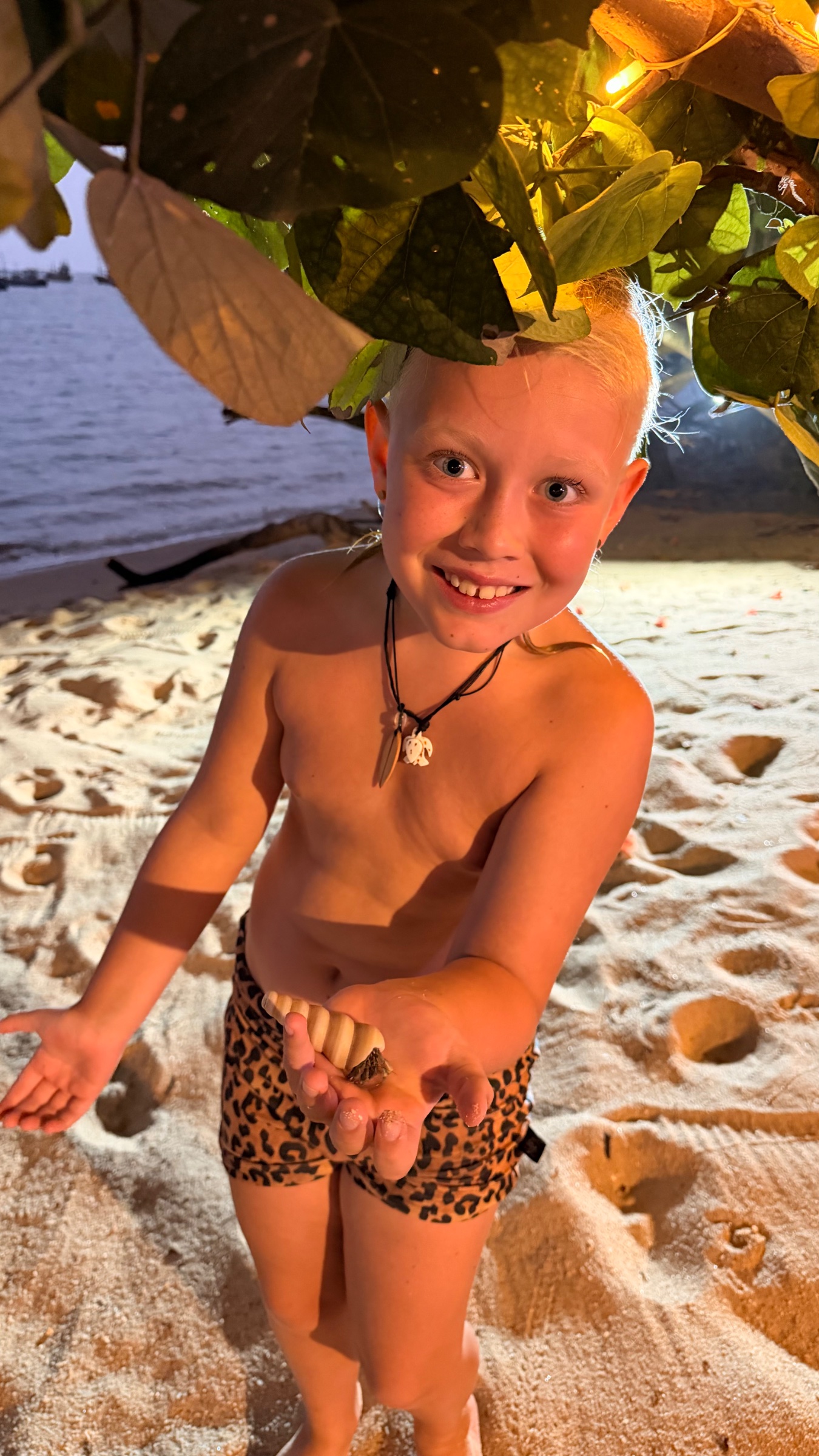 Jax finding a hermit crab on the beach