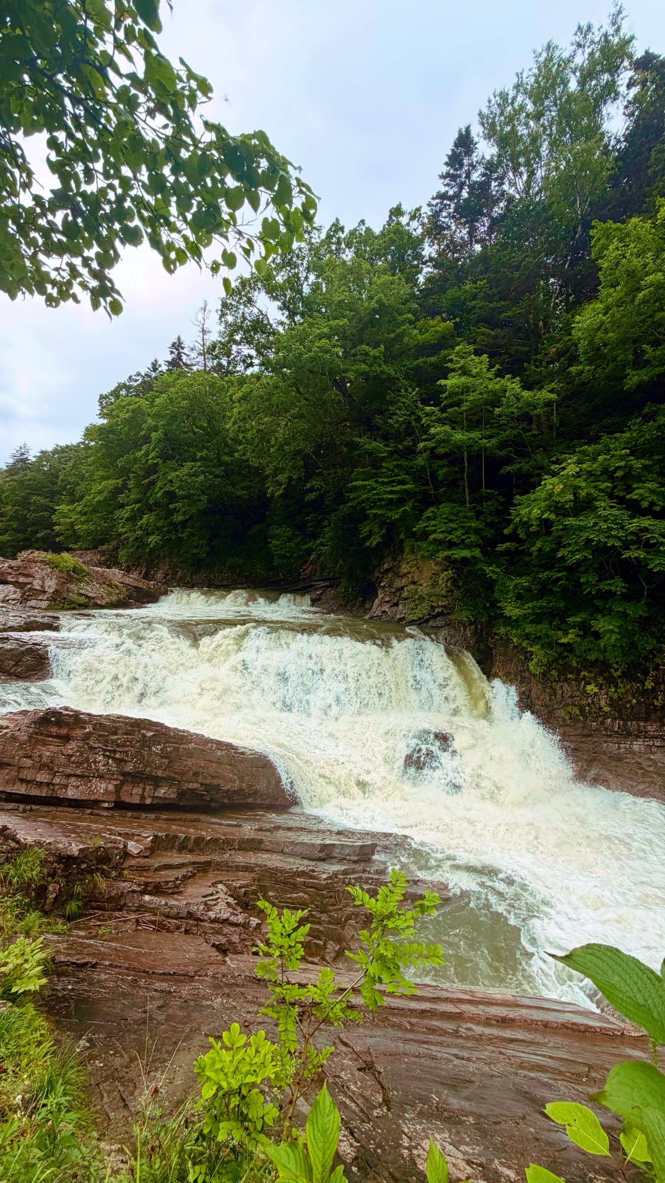 Random Waterfall we stopped at