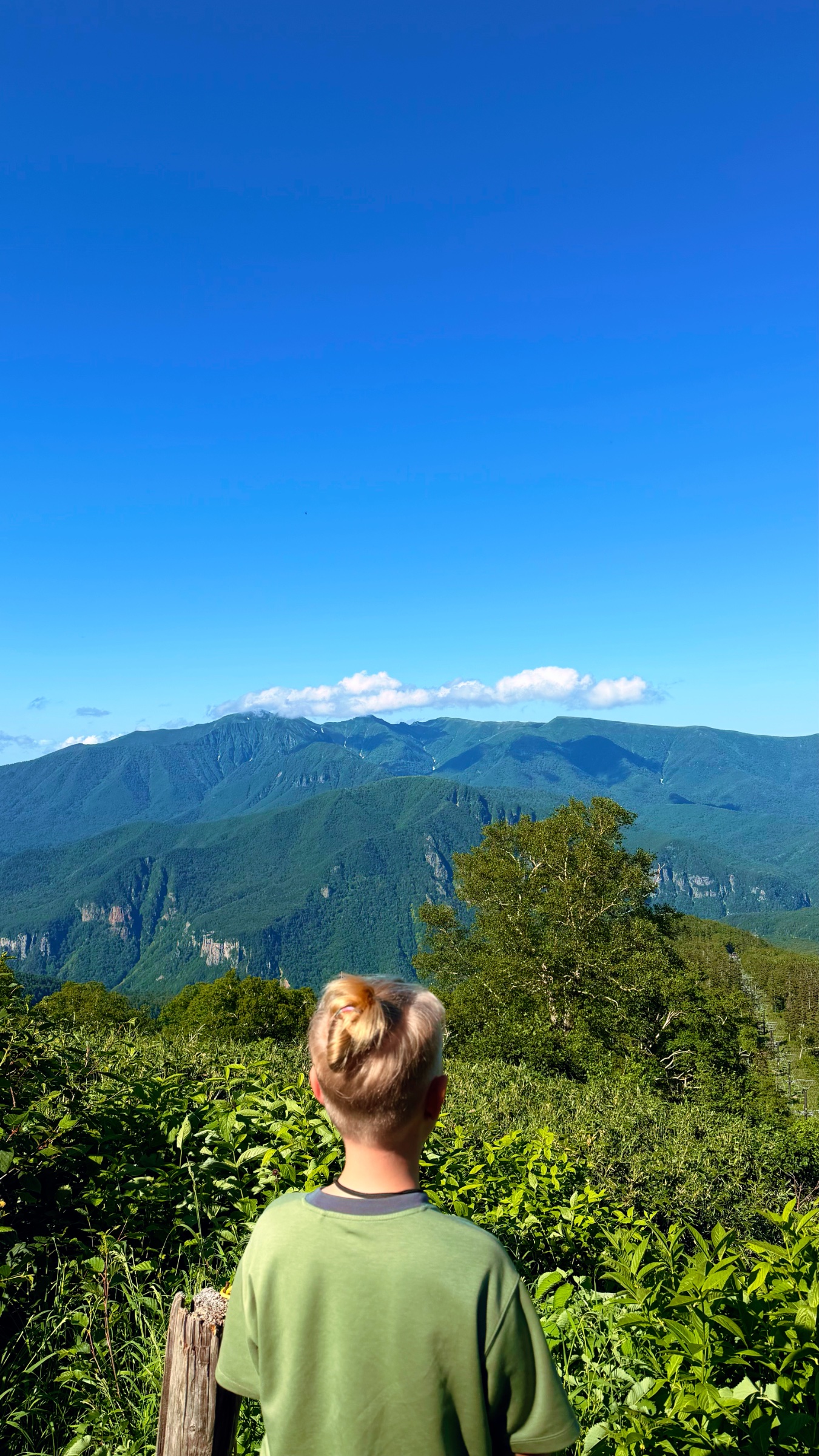 Jax with view of the mountains at Daisetsuzan National Park